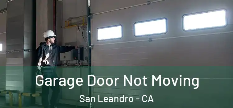 Garage Door Not Moving San Leandro - CA