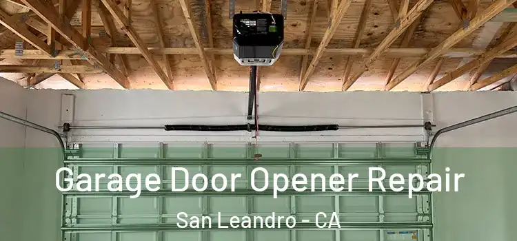  Garage Door Opener Repair San Leandro - CA