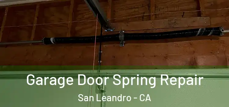  Garage Door Spring Repair San Leandro - CA