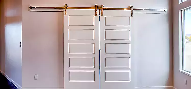 Glass Barn Door with Installation Hardware Kit San Leandro