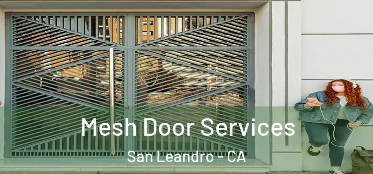  Mesh Door Services San Leandro - CA